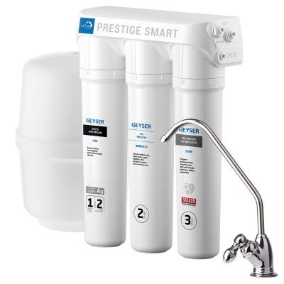 Geyser Prestige Smart