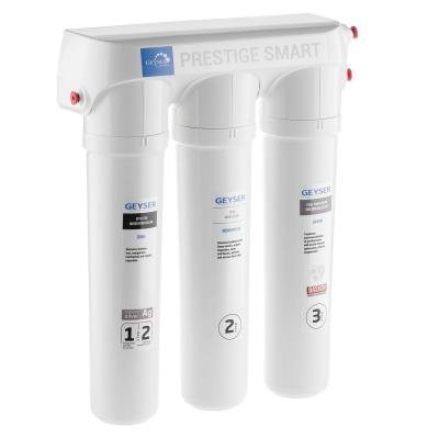 Geyser Prestige Smart